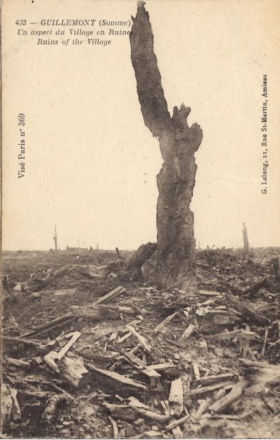 Fig 34. Guillemont tree.jpg